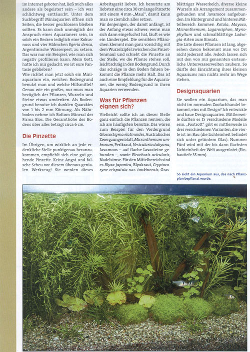 Bild: Aquarium Live 2006 mit dem Titel "Size does not matter" sagt man "auf die Größe kommt es nicht an".